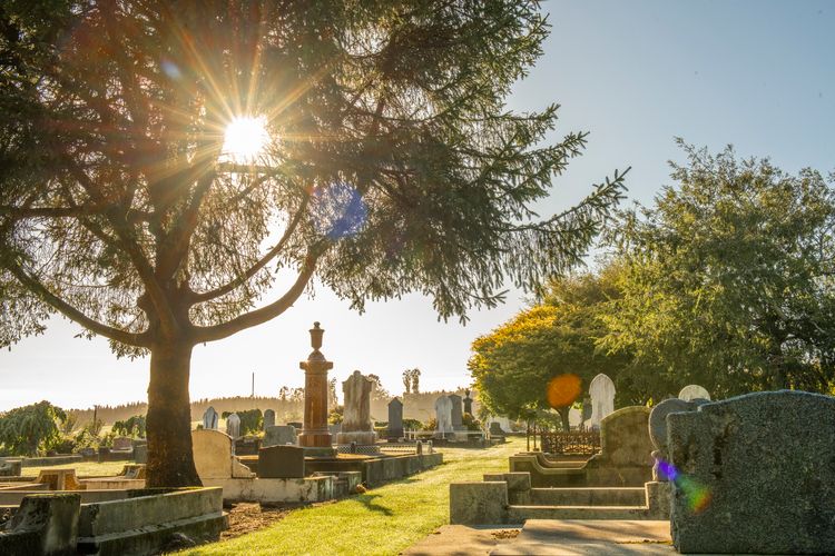 Mataura Cemetery - Image showing graves