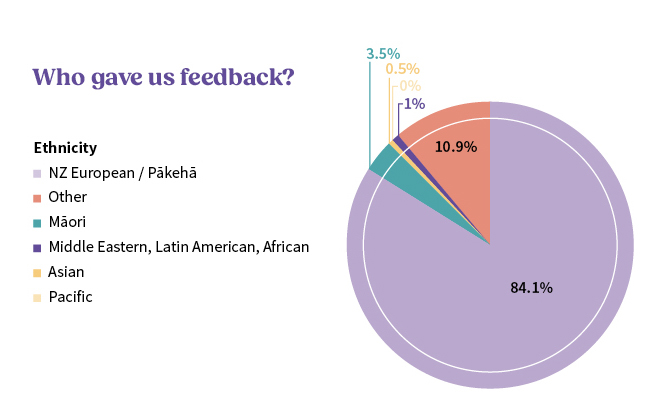 Pie chart of people who gave us feedback based on ethnicity 